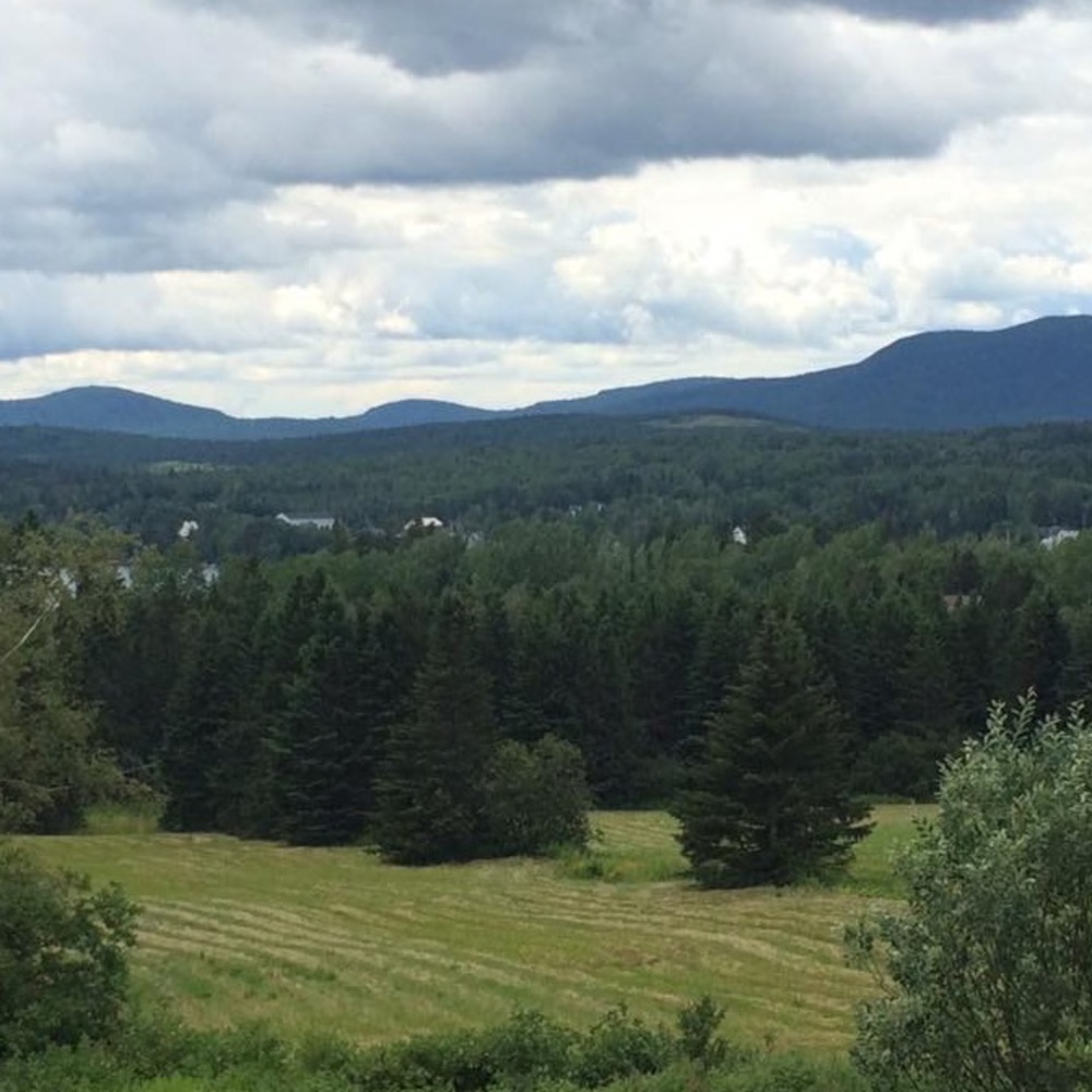 Meet your Posher, Mckenna